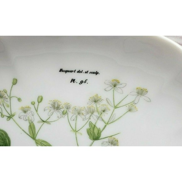 Vintage Hocquart Del Et Sculp Pl 95 Clematite Brulante Tea Cup And Plate Set - Picture 4 of 12